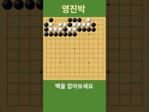바둑 묘수 사활 (알고 나면 쉬운 문제) 백을 잡아보세요