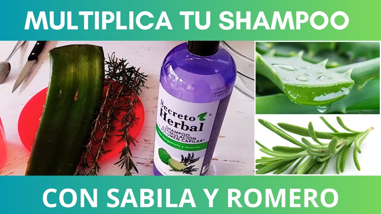 MULTIPLICA TU SHAMPOO USANDO SABILA Y ROMERO!! - YouTube