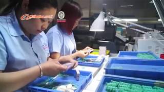 Company Brief Introduction of Kirin Jewelry 925 Sterling Silver Jewelry Wholesale for Women