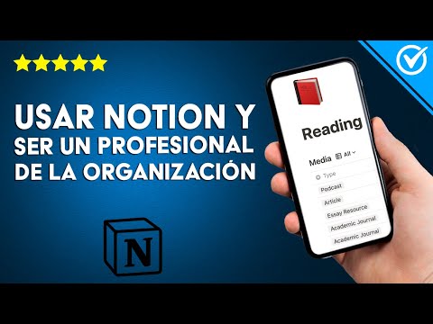 ¿Cómo usar NOTION y ser un profesional de la organización?