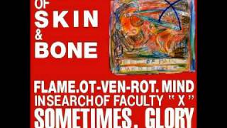 Orchestra of Skin & Bone - Flame
