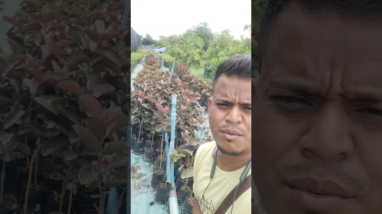 Thailand Nursery visit. 