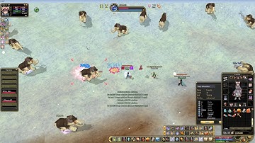 Flyff V20 Jester Hitrate Impression at Mammoths