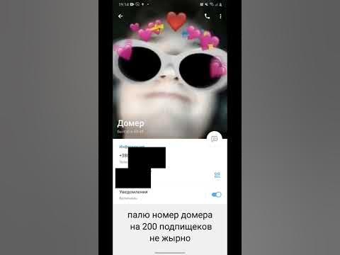 номер домера #домер - YouTube