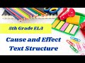 Cause and Effect Text Structure Quiz