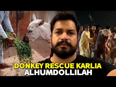 Donkey rescue karlia Alhumdollilah
