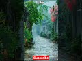 Savan ye Barsat Laya Hai🌧⛈️...#shorts #shortvideo #shortsfeed #viralshorts #hindisong #youtubeshorts