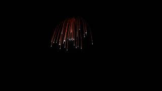 5 inch Shells White Strobe Horse Tail