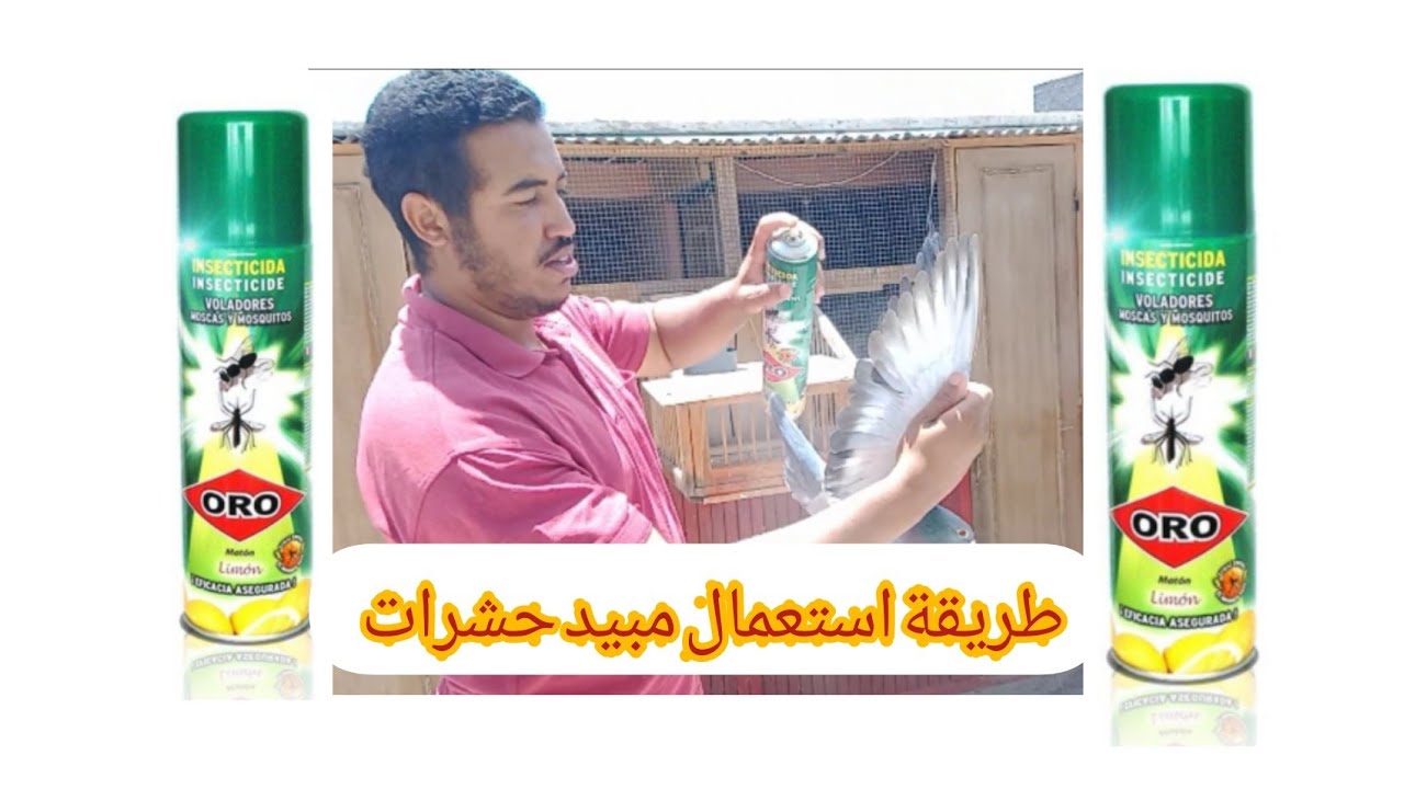 طريقة استعمال مبيد الحشرات ORO للحمام الزاجل وجميع انواع الحمام
