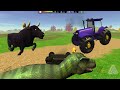 Jugando con el toro y el trex pollito pio contra el tractor  danger bull vs trex