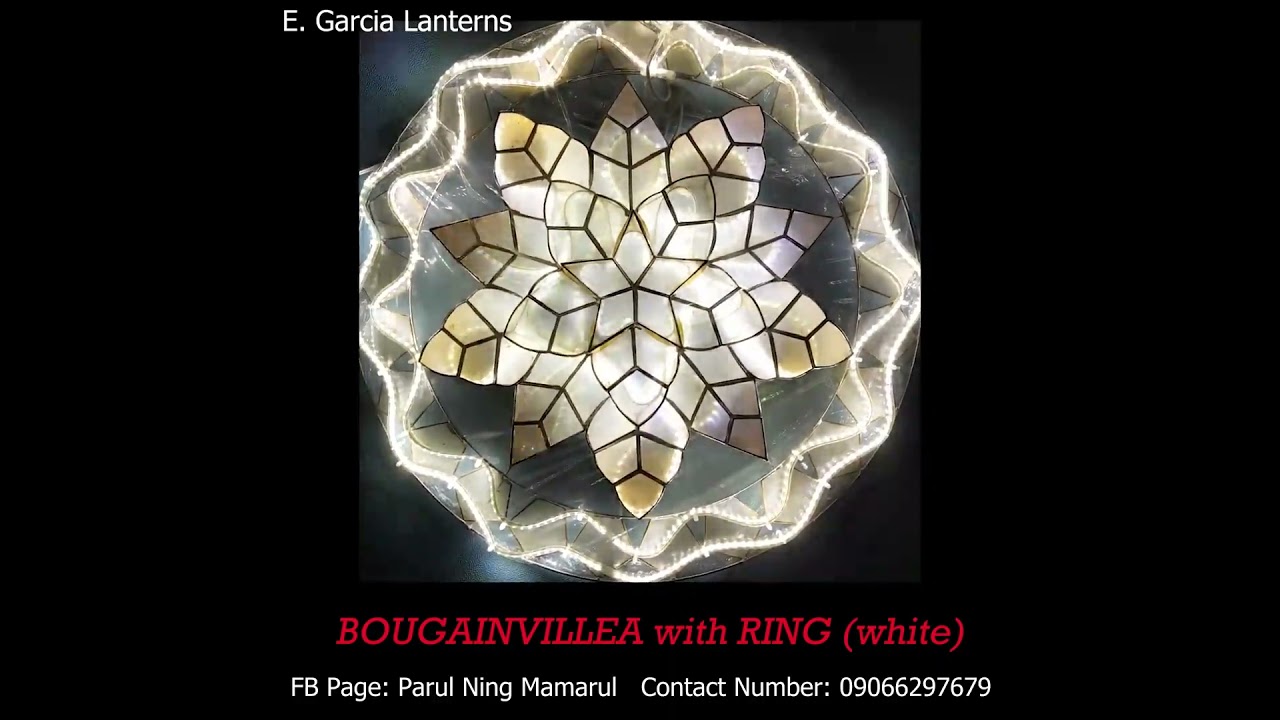 Bougainvillea with Ring Capiz Lantern Video Collection