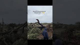 Meu Deus 😱 📍 Falagueira ,Nisa - Portalegre