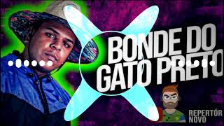 BONDE DO GATO PRETO - Te Assumir Pro Brasil. REMASTERIZADO PARA PAREDÃO