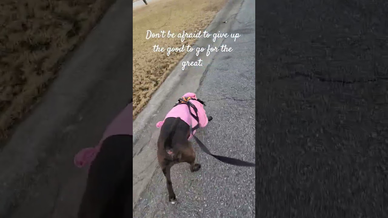 Don&rsquo;t be afraid to give up the good to go for the great.