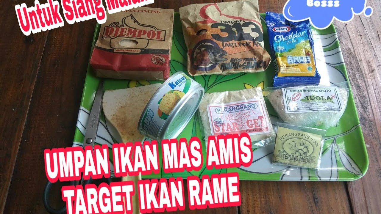 UMPAN IKAN MAS AMIS TARGET IKAN RAME