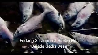 Endang S Taurina - Balada Gadis Desa