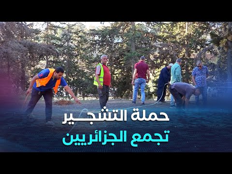 حملة خضراء بإذن الله قاطرة جمعية الجزائر الخضراء تجر الجزائريين لفضيلة التشجير