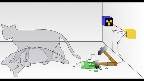 Dr. Eigenstate Explains: Wavefunction Collapse