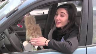 Stranger Danger Profile