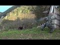 A Perfect Wild Boar Hunt(English Subtitle) / Mükemmel Bir Domuz Avı ( Duracağın Yeri Bil-3)