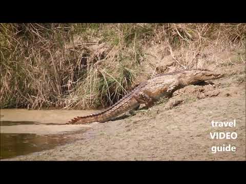 Bardiya National Park