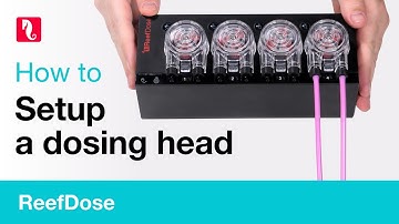 How to setup a ReefDose head