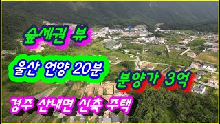 경주 산내면 대현리 신축 주택 분양