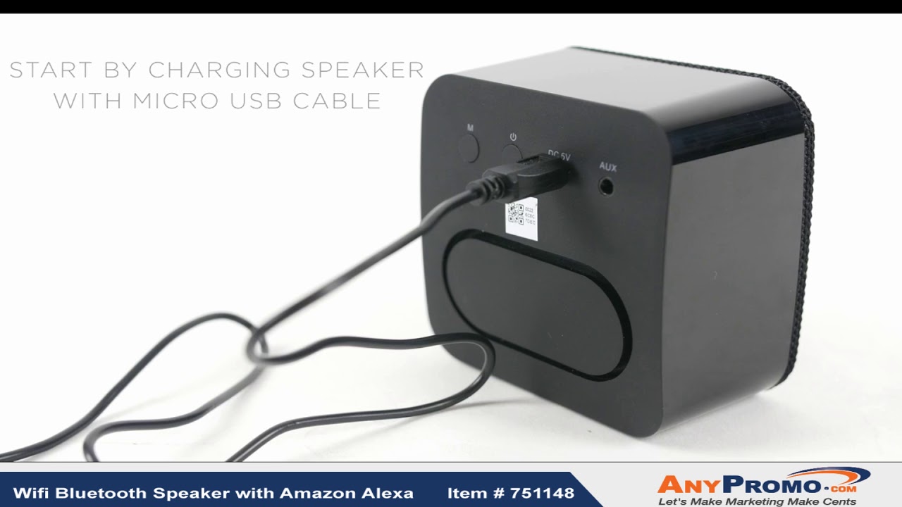 Promo Product Review: Wifi Bluetooth Speaker with Amazon Alexa| AnyPromo 751148