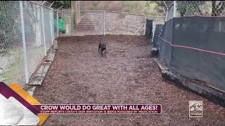 TV Tacoma Live Stream - City of Tacoma