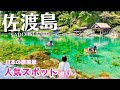 【佐渡島】人気スポットや絶景海カフェ、ノスタルジックな町並みを巡る(新潟/離島/旅行/観光/Niigata/Sadoisland/Japan) #2