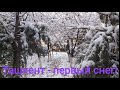 Ташкент - первый снег!!! (Сергели)
