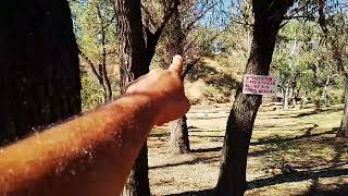 SOLO PASA CUANDO CAMBIAS DE MENTALIDAD. VIVE LA ENERGIA DE UN BOSQUE.!🌲🐍🌱🌿🌲🌳