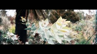 Dandenong Botanical garden and Me.. music by Melitha Sidabutar - Penolong yang setia