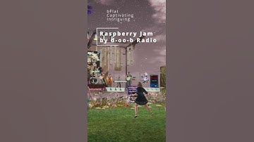 RaspberryJam bFlat 18