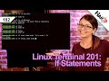 If Statements in Shell Scripts | Linux Terminal 201 - HakTip 182
