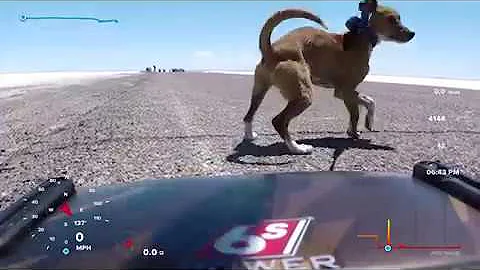 Arrma Infraction 118 MPH at Bonneville Salt Flats