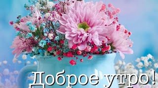 Желаю Прекрасного Доброго Утра И Солнечного Настроения 💖😊