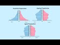 How to Read a Population Pyramid