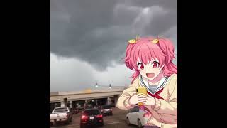 Oh My God A Tornado Is Forming Bye Project Sekai Vine