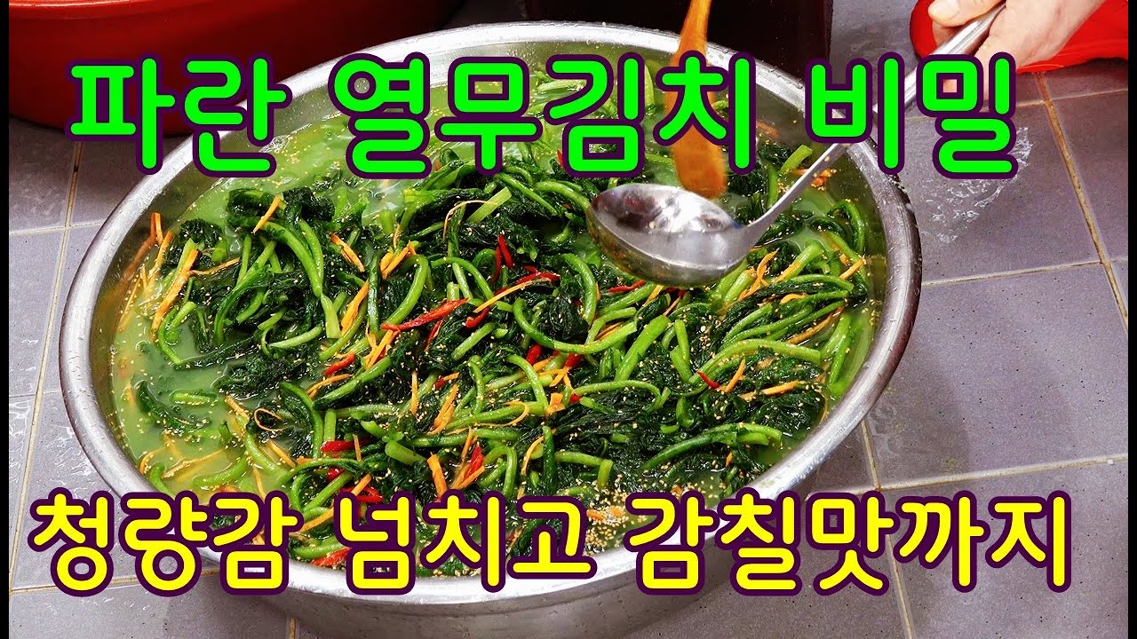 파란 열무 물김치 비밀/열무물김치 맛있게 담는 비법 /다 먹을 때 까지 물러지지 않고  아삭삭하면서 감칠맛까지