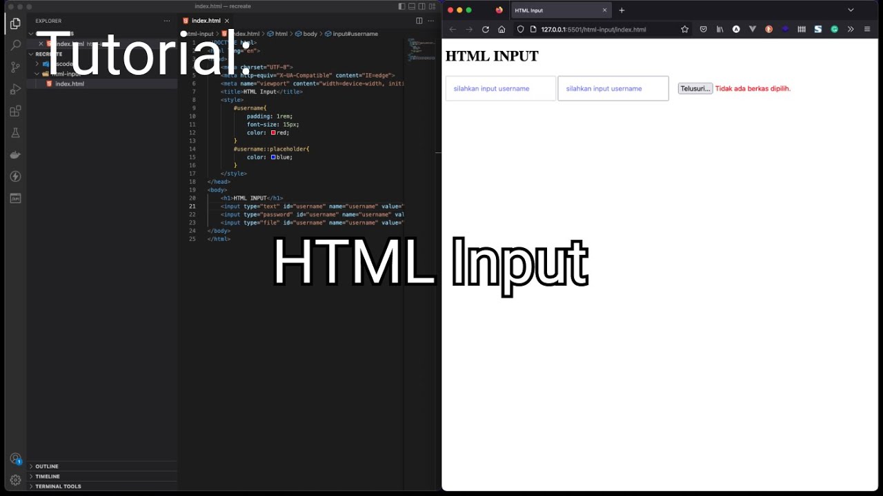 HTML INPUT - YouTube