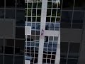 Climbing a Skyscraper with MrBeast #spiderman