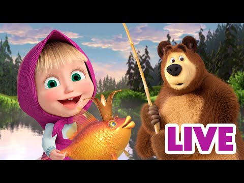 ماشا والدب LIVE STREAM كيف يمكن اصطياد السمكة الذهبية Masha And The Bear