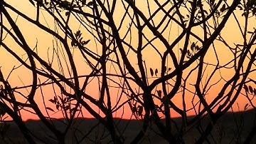 The microgrid delivering renewable power to Australia