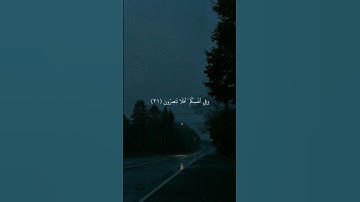 وبالأسحار هم يستغفرون - القارئ سعود الشريم