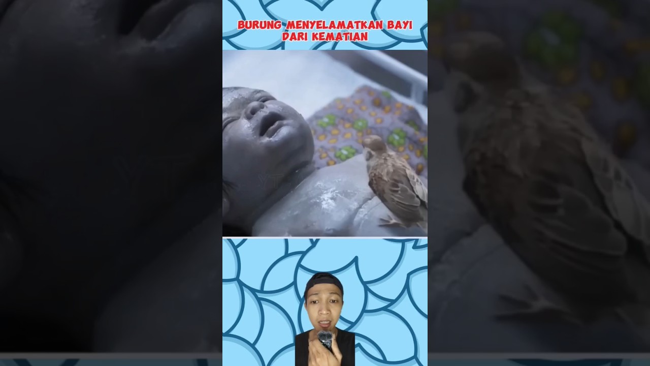 Latest Title & Thumbnail