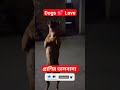Dog Love I Loyal Dog #viral #funny #short #loyal #dogs #dog