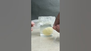 vinegar vs potato awesome science experiment || #viral #shorts #youtubeshorts #science