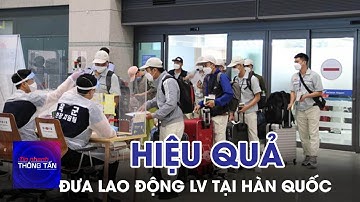Hiệu quả hoạt động đưa người lao động đi làm việc tại Hàn Quốc | Tin nhanh Thông tấn