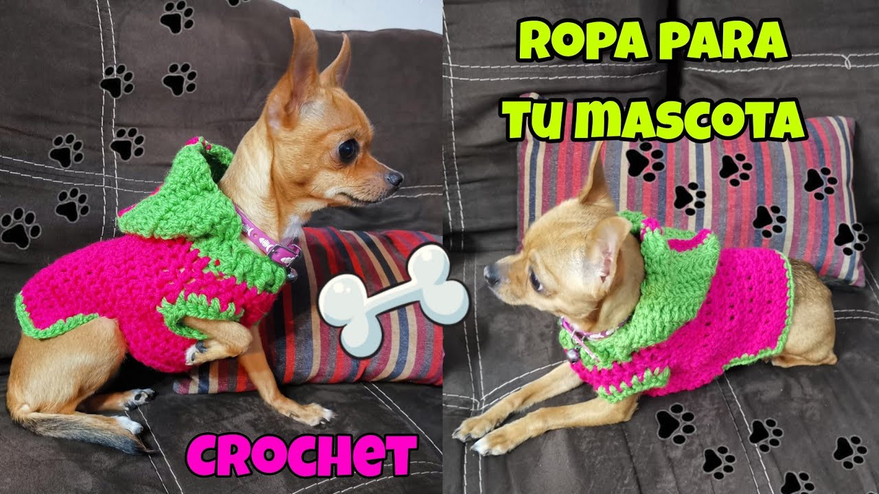 ROPA PARA MASCOTA TEJIDA A CROCHET PERRO GATO 🐕🦮🐈FREE PATTERN Clothes ...